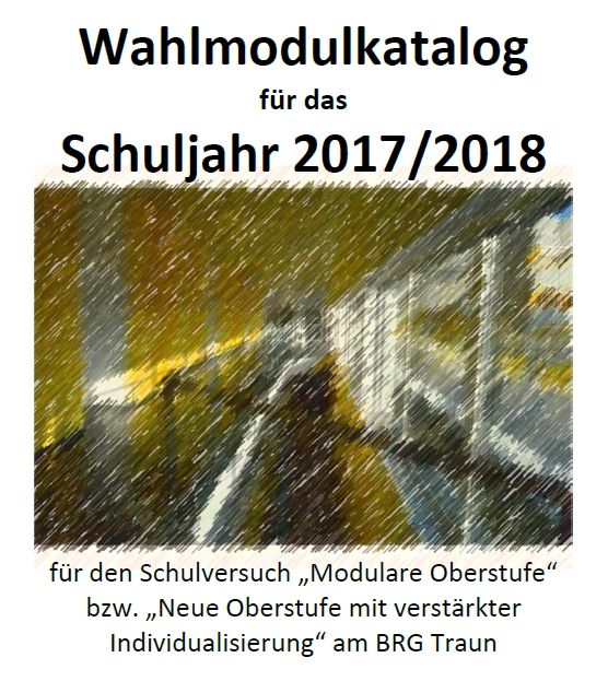 Wahlmodulkatalog 2017/18